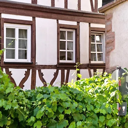 Casa Stadtblick Gengenbach Exterior foto